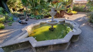 1741013809_2024-01-GranCan-Jardin_de_la_Marquesa-000.jpg